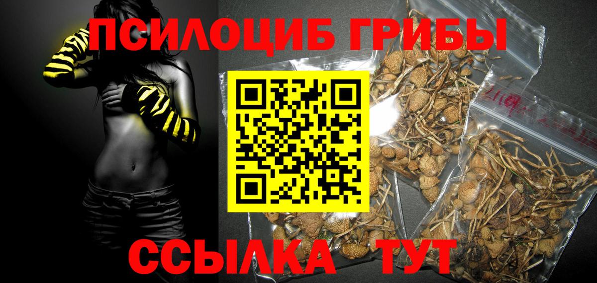 Дивногорск  Галлюциногенные грибы Psilocybine cubensis  Галлюциногенные грибы ЛСД  Вход с VPN 