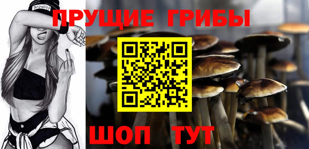 Галлюциногенные грибы Cubensis Дивногорск